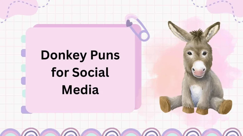 Donkey Puns for Social Media
