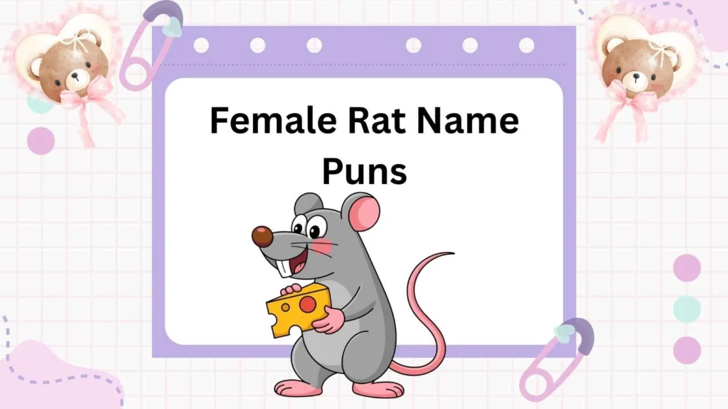 Female Rat Name Puns