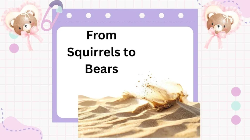 From Squirrels to Bears