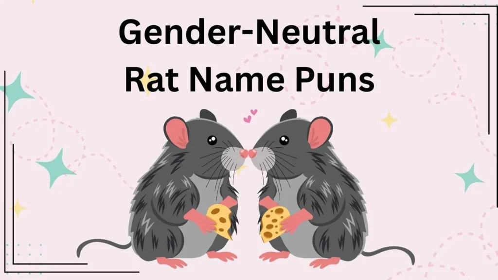 Gender-Neutral Rat Name Puns