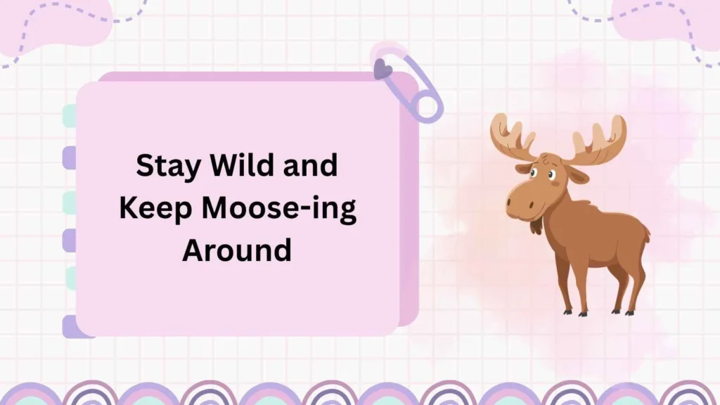 Stay Wild and Keep Moose-ing Around