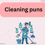 Cleaning puns