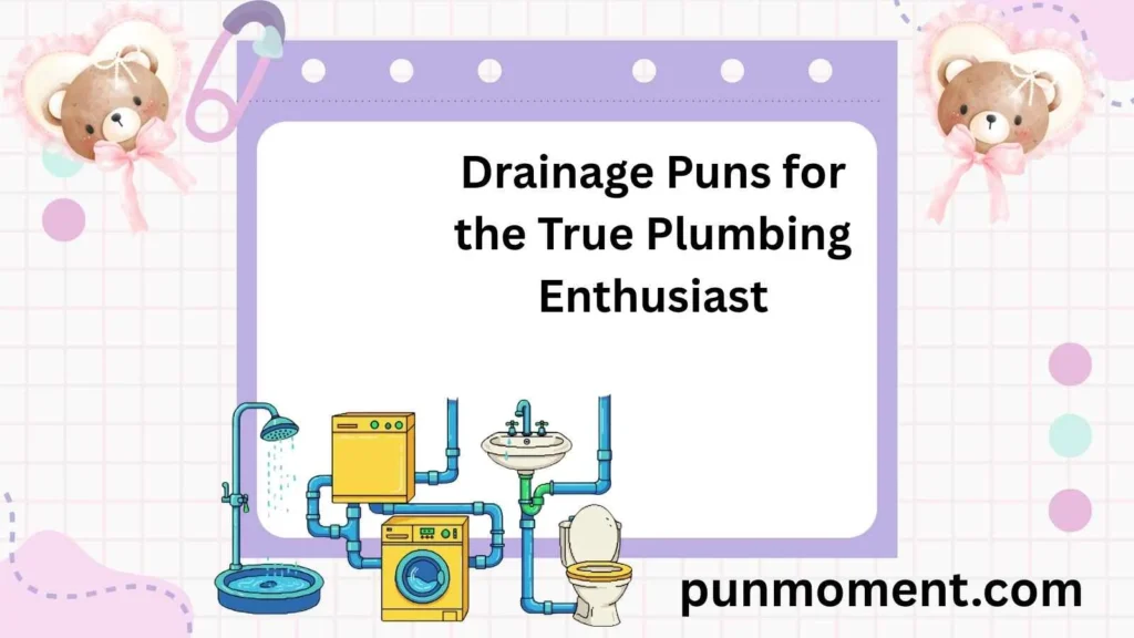 Drainage Puns for the True Plumbing Enthusiast