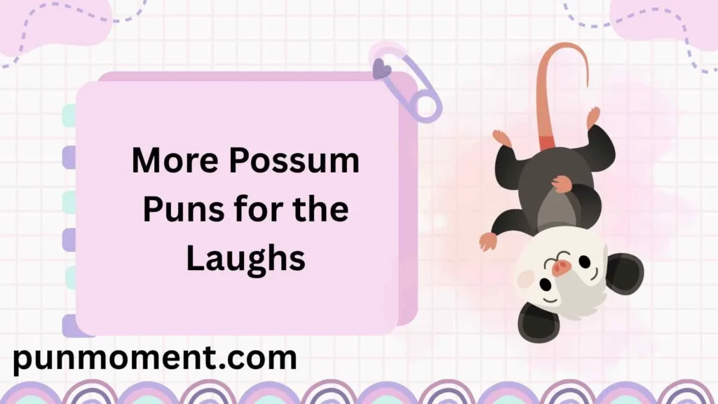 More Possum Puns for the Laughs