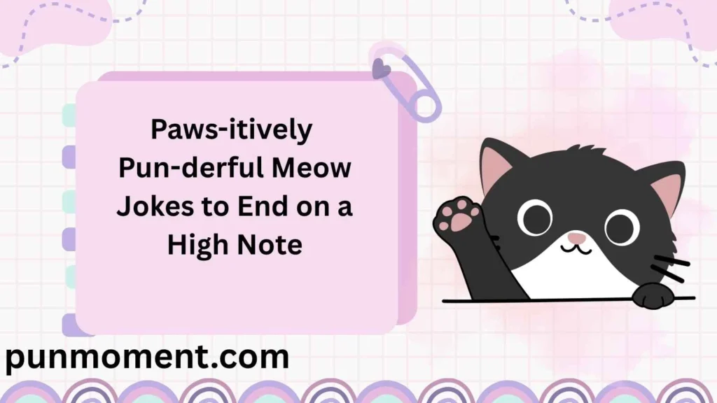 Paws-itively Pun-derful Meow Jokes to End on a High Note