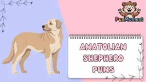 Anatolian Shepherd Puns