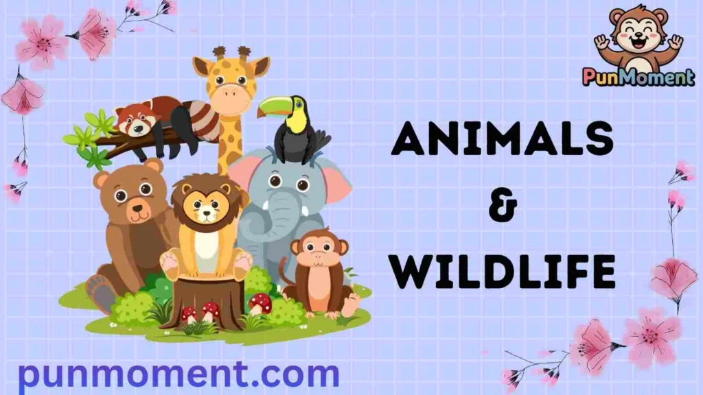 Animals & Wildlife