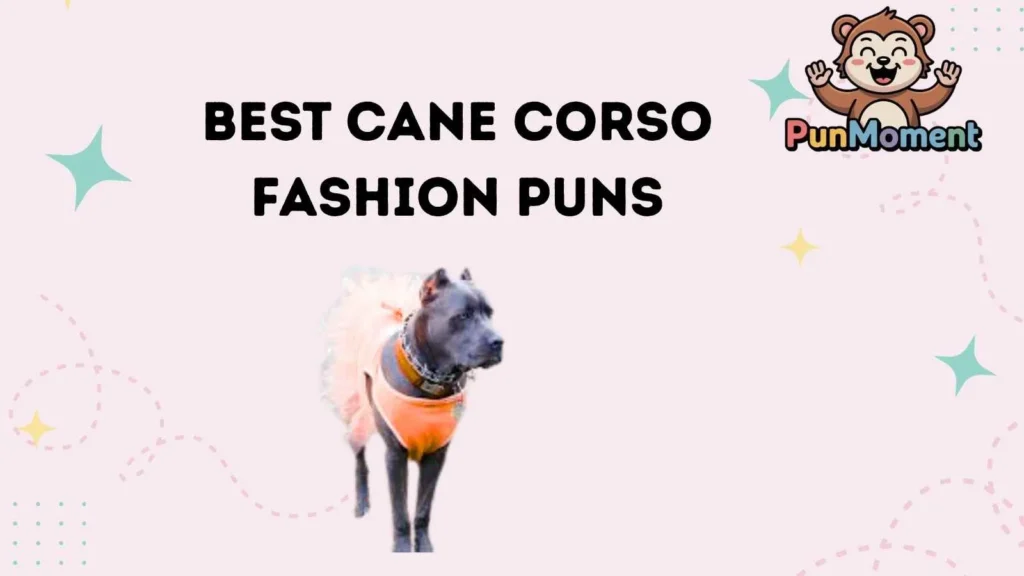 Best Cane Corso Fashion Puns