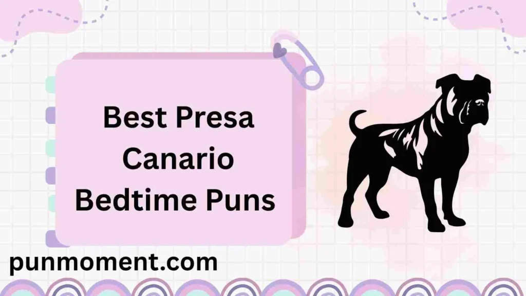 Best Presa Canario Bedtime Puns