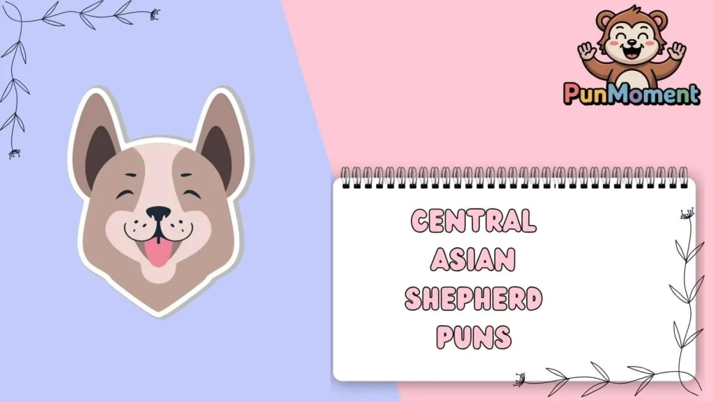 Central Asian Shepherd Puns
