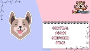 Central Asian Shepherd Puns