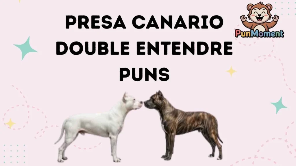 Presa Canario Double Entendre Puns