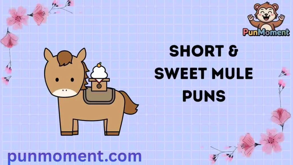Short & Sweet Mule Puns