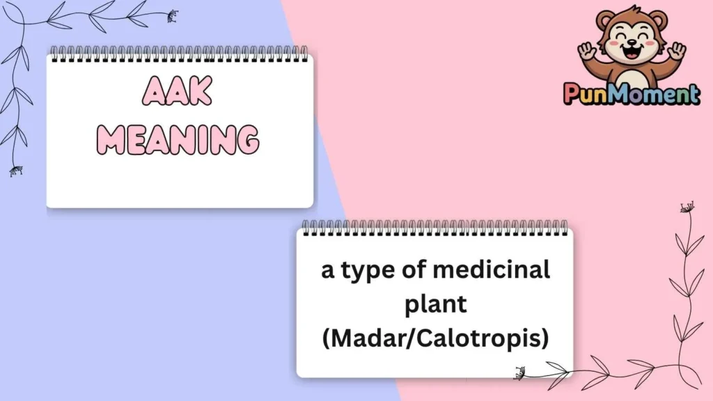 Aak Meaning