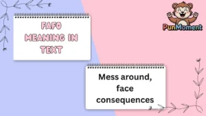 FAFO Meaning In Text