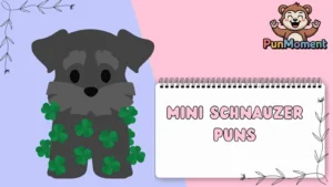 Mini Schnauzer Puns