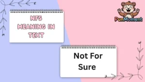 NFS Meaning In Text