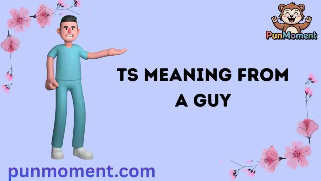 TS Meaning From a Guy